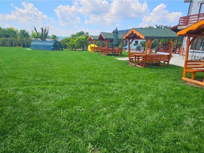 Colt De Rai Bed & Breakfast Hîrtoape Exterior foto